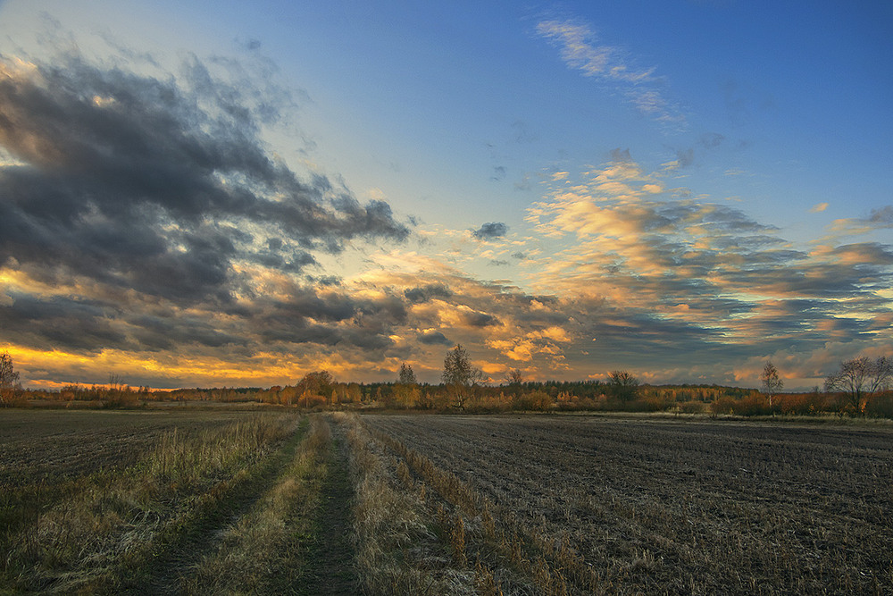 Фотографія Сонце низенько, вечір близенько, а вітер віє - повіває, серце з жалю завмирає. / Юрій Максименко / photographers.ua