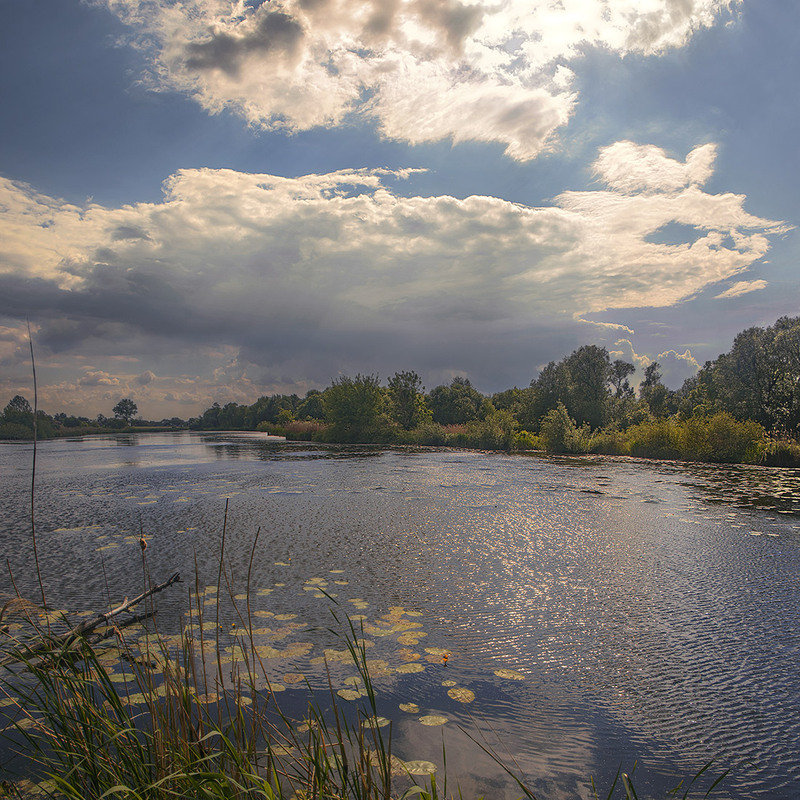 Фотографія Вечір вже опускаться на річку Коднянку, збирається на дощ, та люде все 'дно радиє - літо приходить. / Юрій Максименко / photographers.ua
