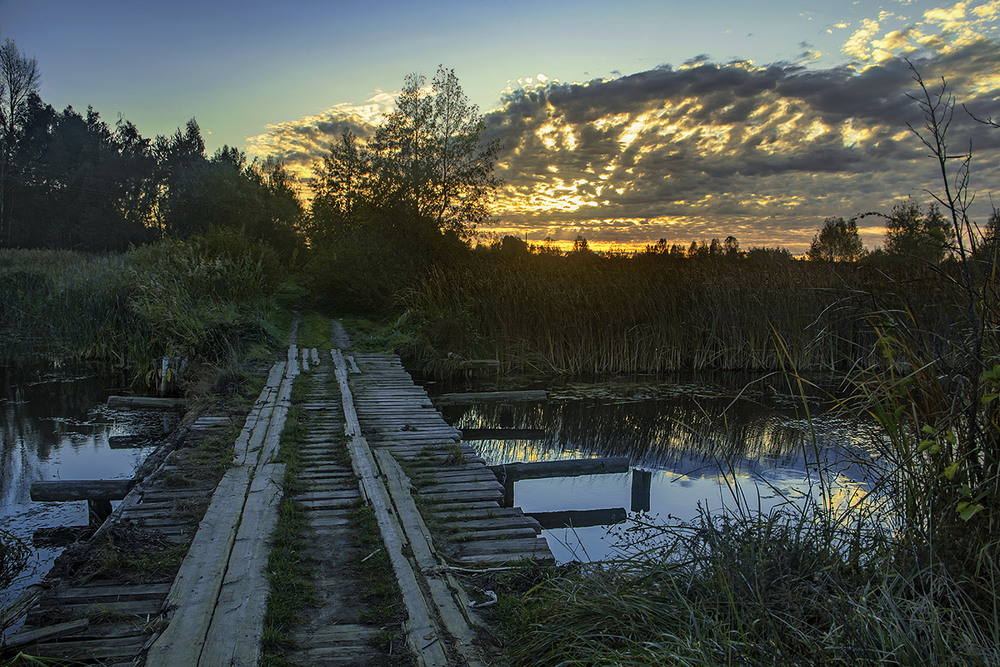 Фотографія Та й поїдем, та й пої-ї-ї-ї... / Юрій Максименко / photographers.ua