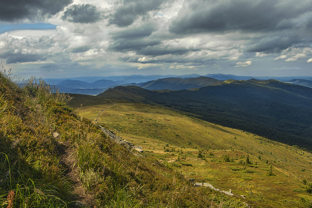 Фотографія Мабуть, буде дощ! / Юрій Максименко / photographers.ua