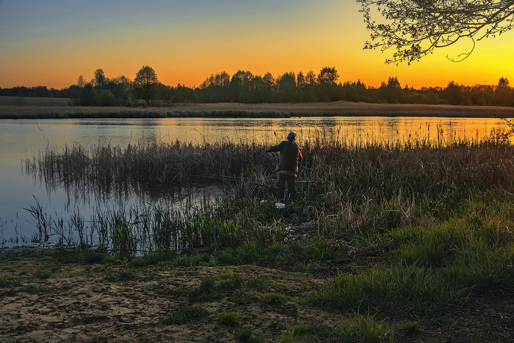Фотографія - Палає і клює знов! - Угу - кому - шо. / Юрій Максименко / photographers.ua