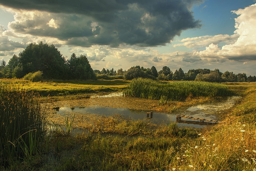 Фотографія Біля ставка: літо хилиться до обрію вже. А на кладці лежить-спочиває вудка. / Юрій Максименко / photographers.ua