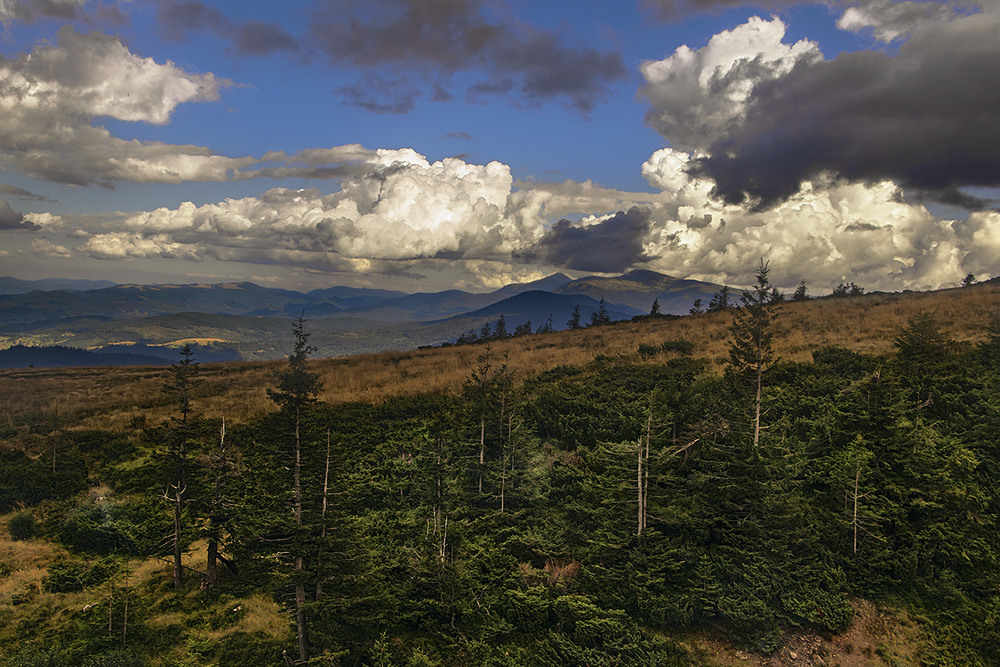 Фотографія Ой наступали та й чорні й білі хмари, став дощ накрапать. / Юрій Максименко / photographers.ua