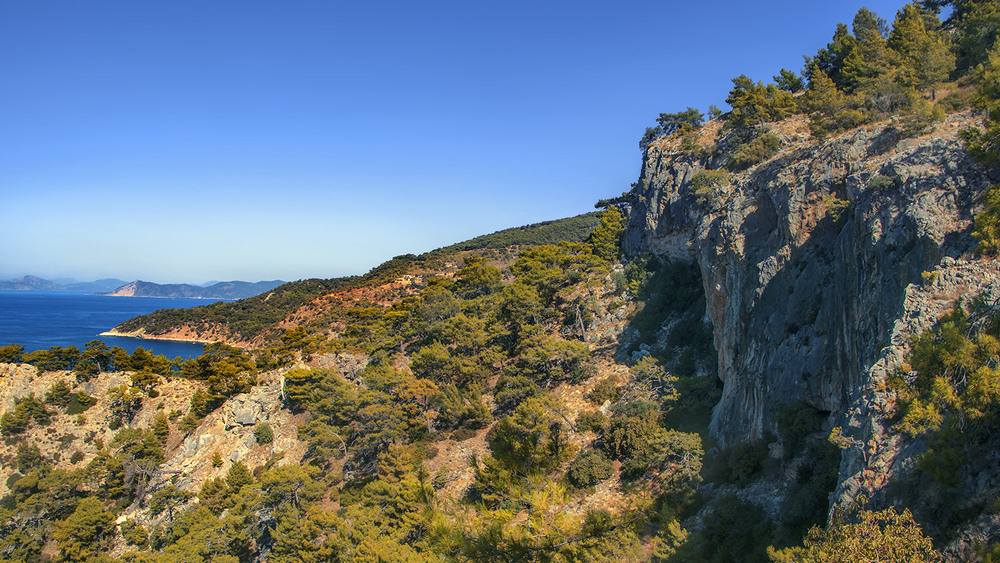 Фотографія Попід скелями, понад бухтами й затоками, поміж деревами й каменями лине пісня ця. / Юрій Максименко / photographers.ua