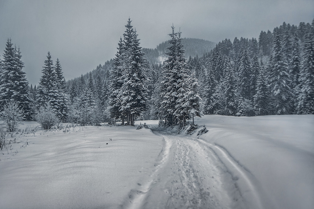 Фотографія Вечір, сиплеться сніг. / Юрій Максименко / photographers.ua