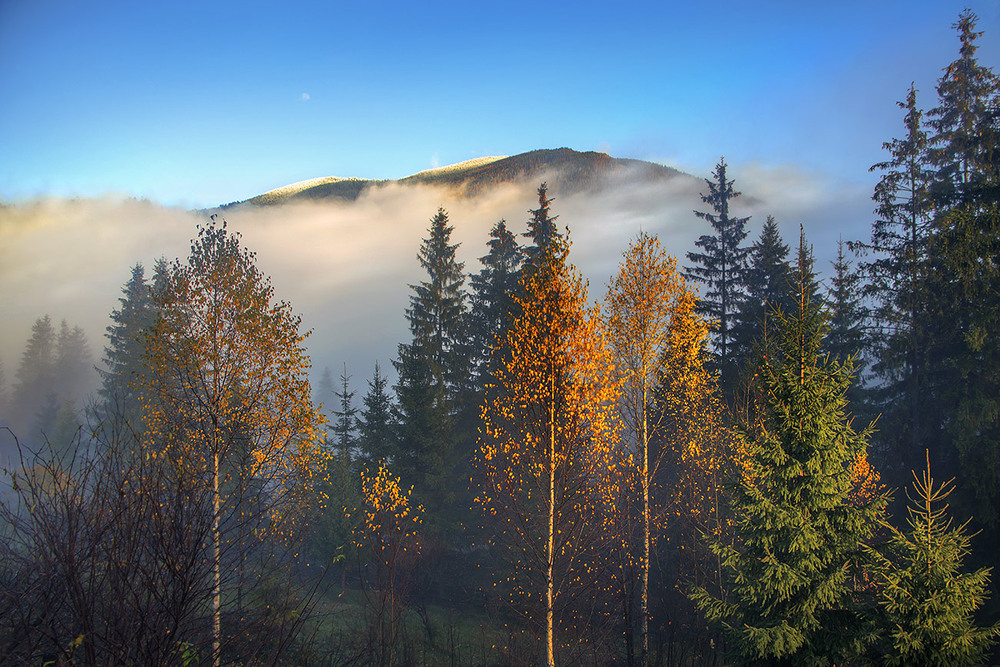 Фотографія Над карпаттям сонце сходить! Тумани втікають, - у синю даль, - залишаючи на горах білу паморозь. / Юрій Максименко / photographers.ua