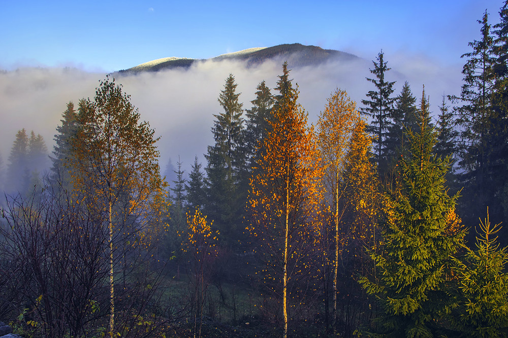 Фотографія Ранок хмарний настав з проясненням. / Юрій Максименко / photographers.ua