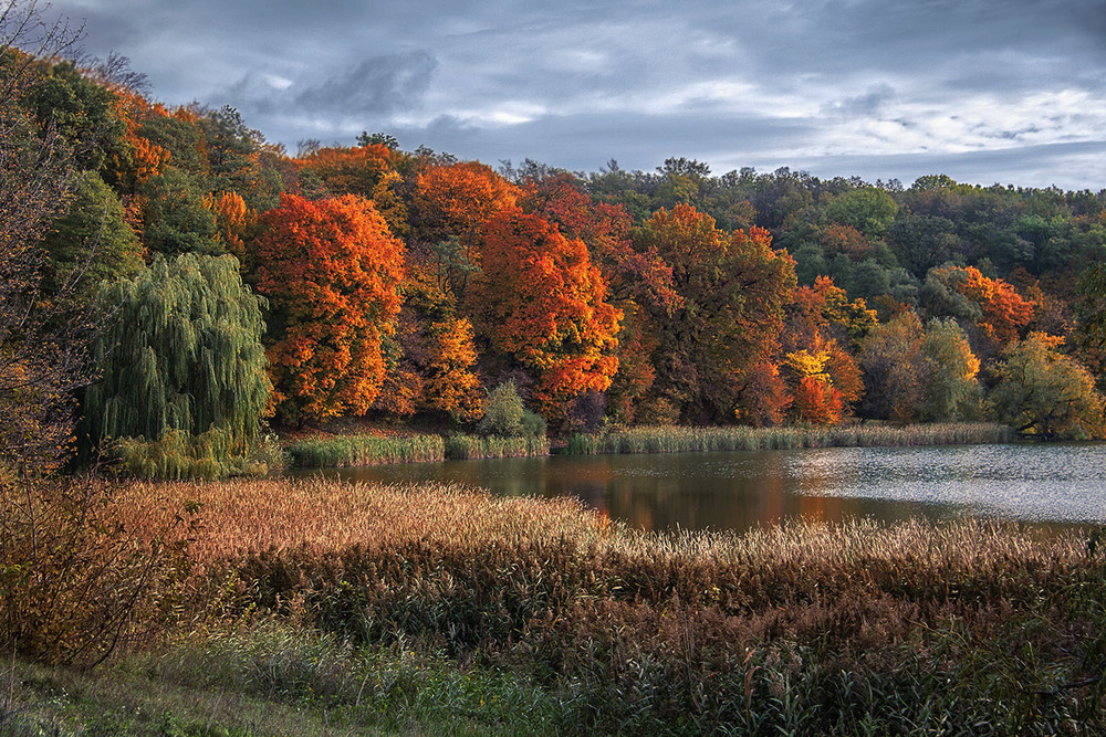 Фотографія На озері осінь видно. / Юрій Максименко / photographers.ua