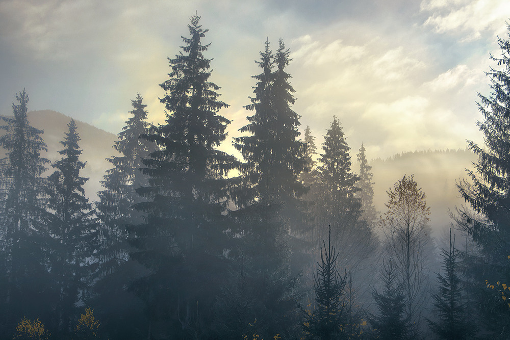 Фотографія Світає, край неба палає у вранішньому млосному тумані. / Юрій Максименко / photographers.ua