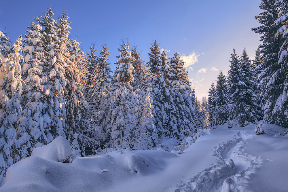 Фотографія Вечір морозний опускається на сніги, ліси, гори, стежки.. / Юрій Максименко / photographers.ua