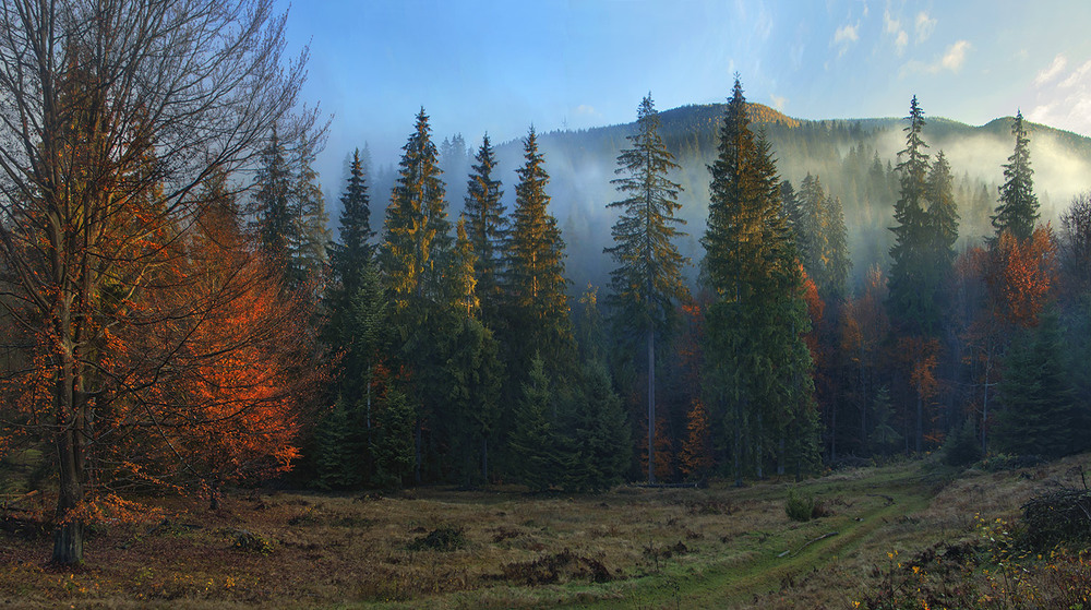 Фотографія Коли в тумані вогкий ранок палаЄ, люде чомусь радіють, а потім зітхають - кожен про щось своЄ / Юрій Максименко / photographers.ua