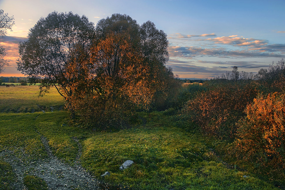 Фотографія У полях край села запалало проти ночі. / Юрій Максименко / photographers.ua