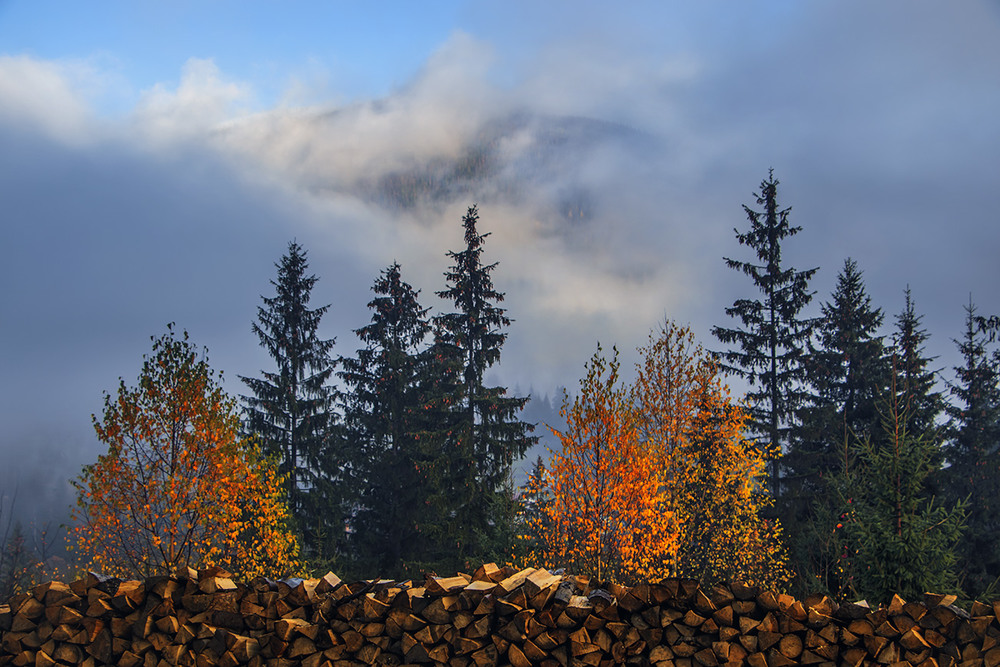 Фотографія Вранішня ОСОБЛИВА світлина, - з хмарами, туманом і жовтим осінням листям. / Юрій Максименко / photographers.ua