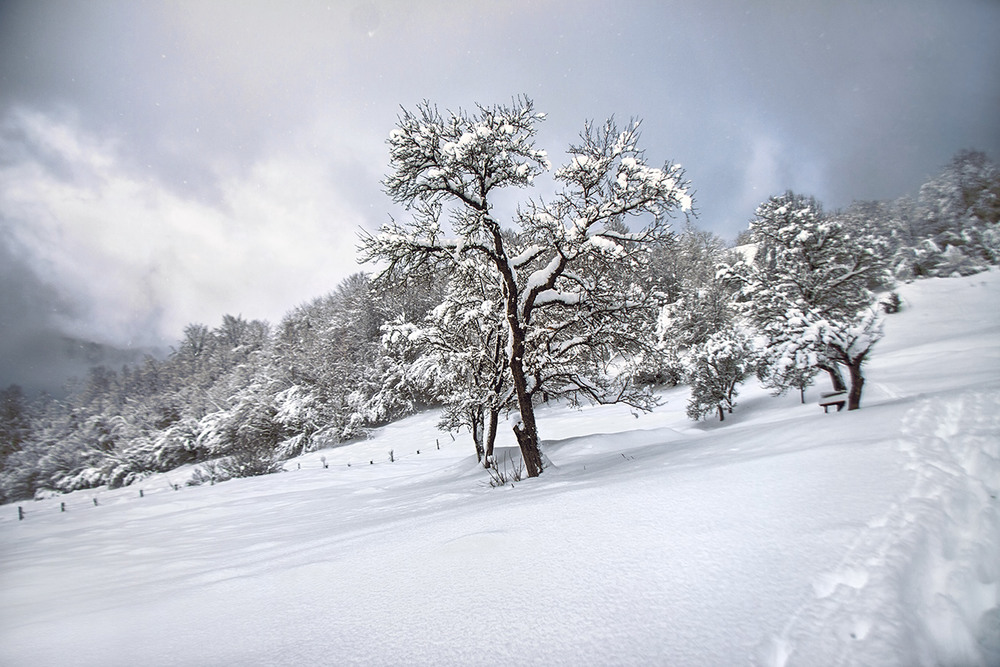 Фотографія Білий сніг сиплеться он з тих хмар - еге ж? / Юрій Максименко / photographers.ua