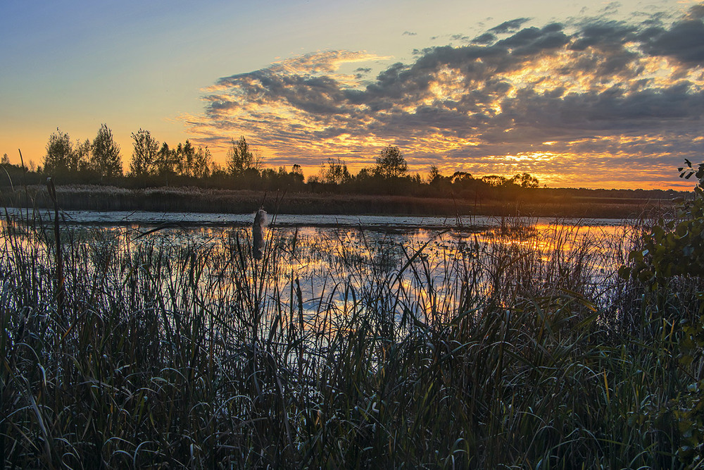 Фотографія Ой ходила дівчина бережком, заганяла селезнів батіжком... Всіх позаганяла. / Юрій Максименко / photographers.ua