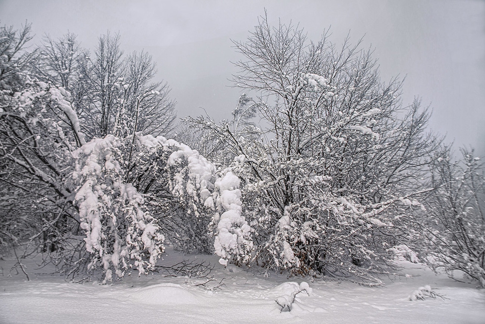 Фотографія Сніг - на поріг, а хмара - із хати. / Юрій Максименко / photographers.ua