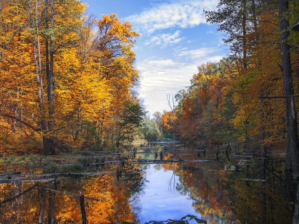 Фотографія Жовтень добігає кінця. / Юрій Максименко / photographers.ua