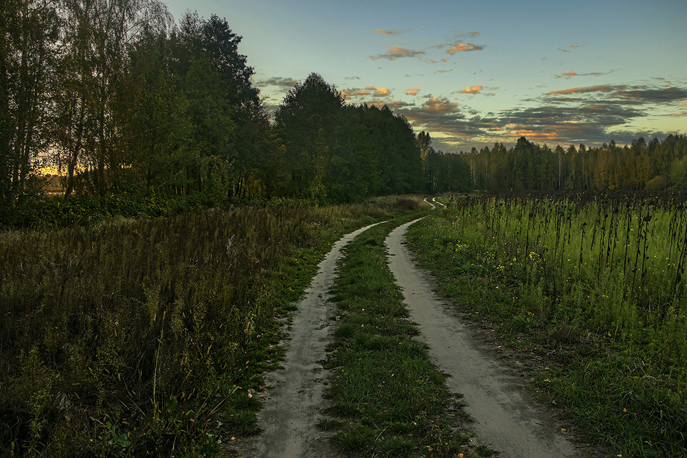 Фотографія Дорога і в ліс, і на річку лежить. / Юрій Максименко / photographers.ua