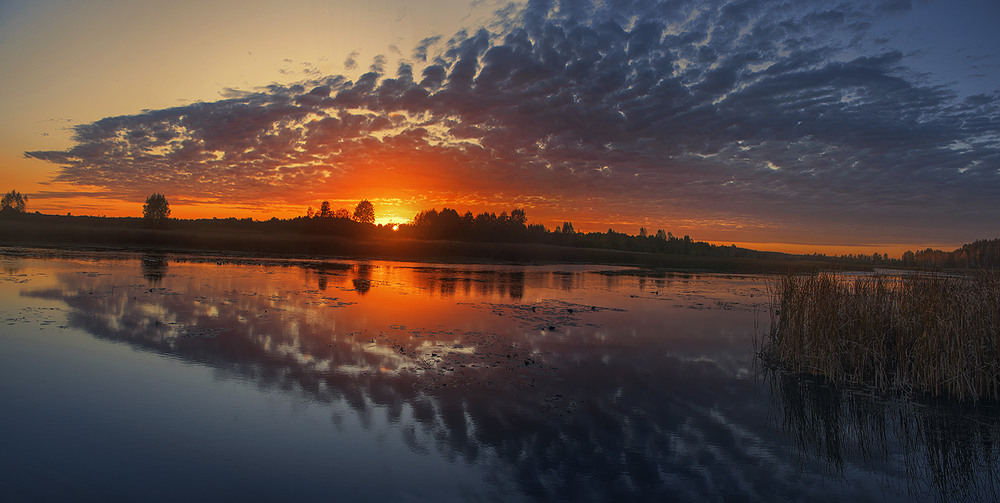Фотографія Вітер віє, вітер віє, серце плаче, серце мліє. / Юрій Максименко / photographers.ua