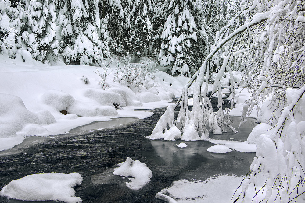 Фотографія Падав сніг на поріг, на воду, на гілки. / Юрій Максименко / photographers.ua