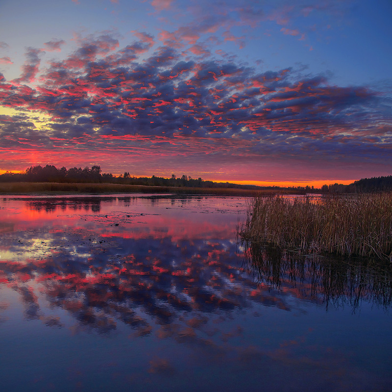 Фотографія Пожежа - скрозь! / Юрій Максименко / photographers.ua