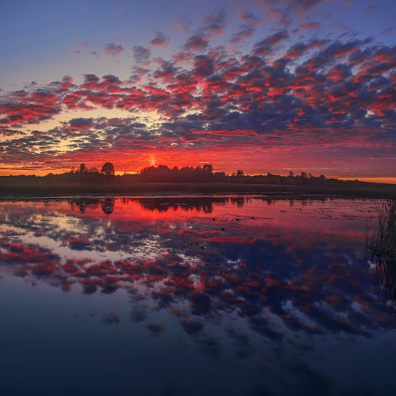 Фотографія Людина так хижо прагне жаринок! Не тому, що навчилася в них випікати братів наших - зайців, косуль? / Юрій Максименко / photographers.ua