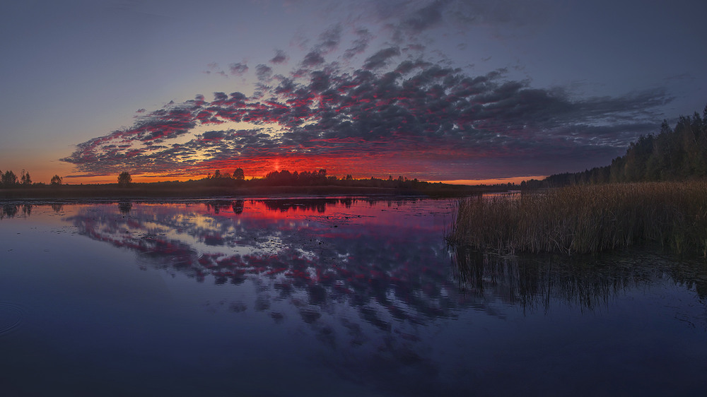 Фотографія Ой чОго зозуле, ой чОго ти кУєш, невже ти зозуле, добро в мене чуєш? / Юрій Максименко / photographers.ua