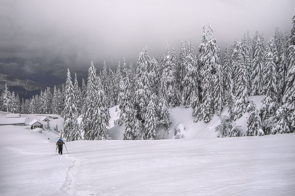 Фотографія Людина йде собі снігами. / Юрій Максименко / photographers.ua