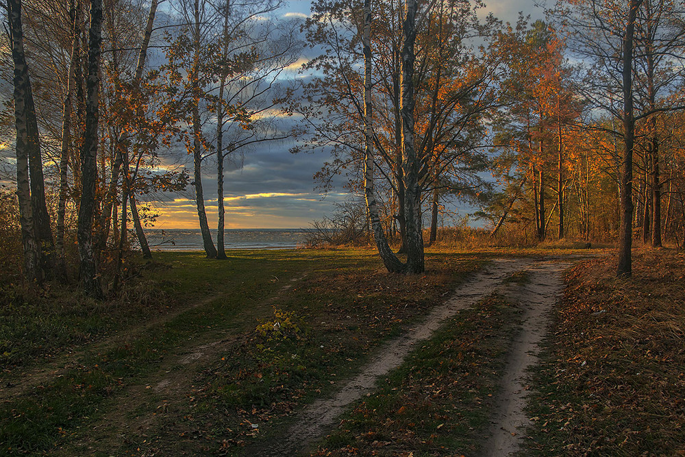 Фотографія Обриваються, облітаються звільна всі пута, що єднали нас з літнім життєм, - на березі річки Дніпро. / Юрій Максименко / photographers.ua