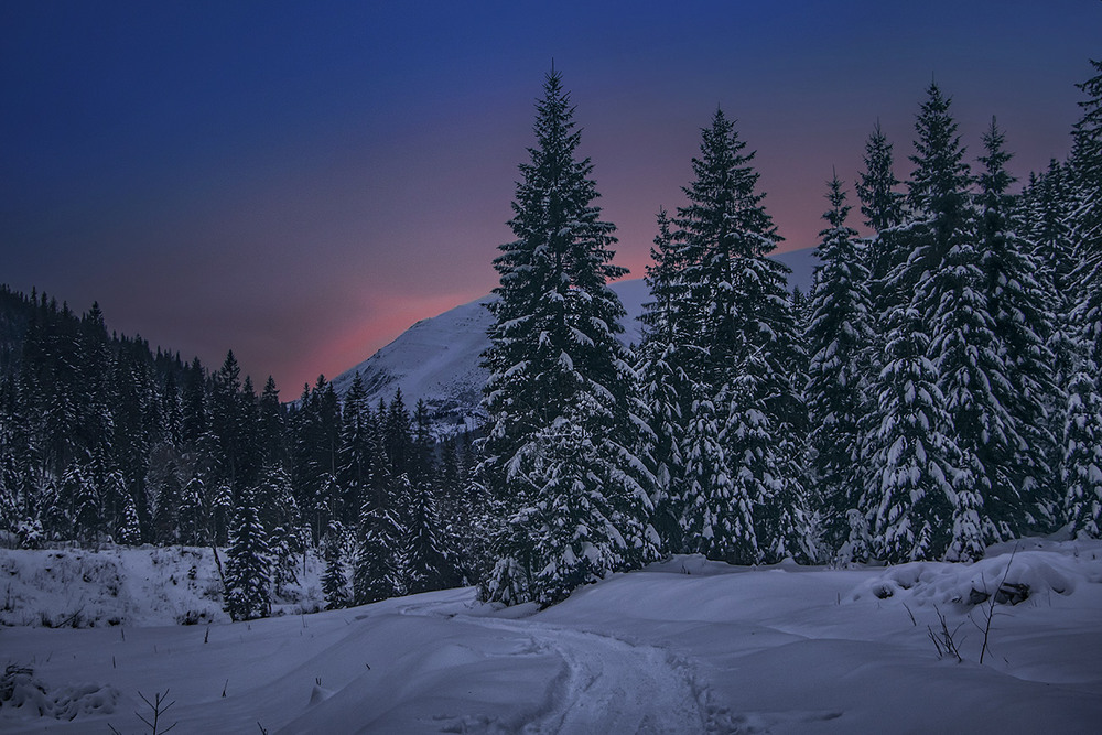 Фотографія Темна нічка гори вкрила. / Юрій Максименко / photographers.ua