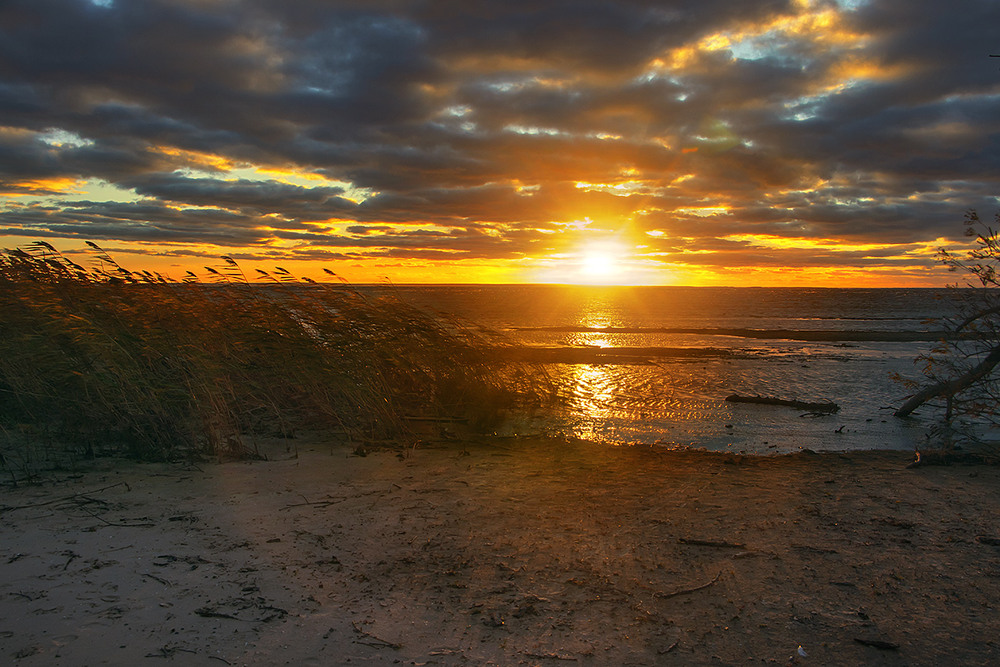 Фотографія Хиже палахкотливе світило сліпить очі предобряче проти ночі, а вітер - немилосердний. / Юрій Максименко / photographers.ua
