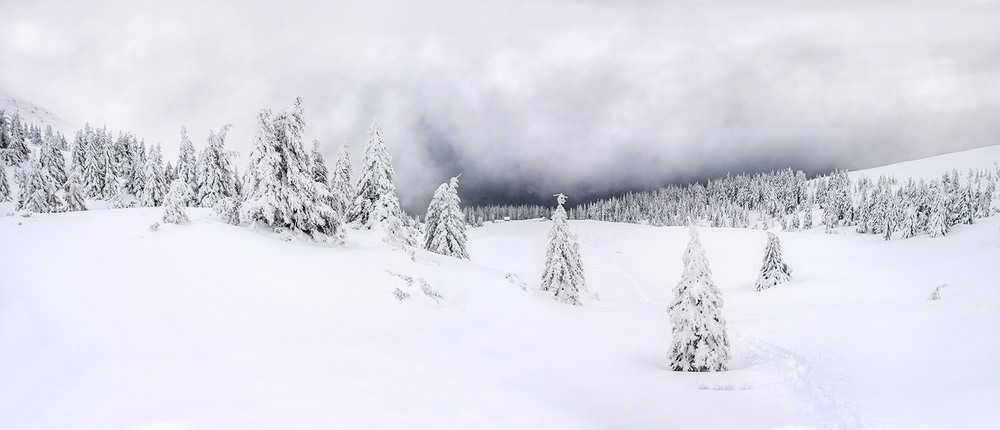 Фотографія Панорама життя - під білими хмарАми, над білими снігАми, в білих тумАнах. / Юрій Максименко / photographers.ua