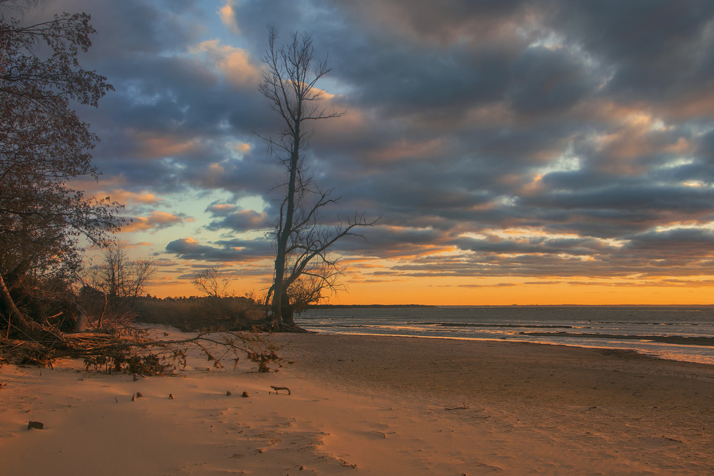 Фотографія На березі великої водойми життя промило. / Юрій Максименко / photographers.ua