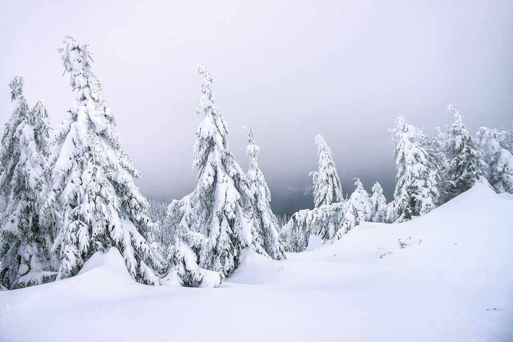 Фотографія Під хмарою, у хмарі, в снігу. / Юрій Максименко / photographers.ua