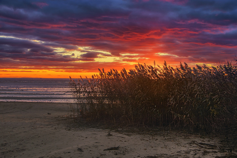 Фотографія В житті ось так і буває - просто і без якихось витівок: як день спалахнув і - відразу догорає. / Юрій Максименко / photographers.ua