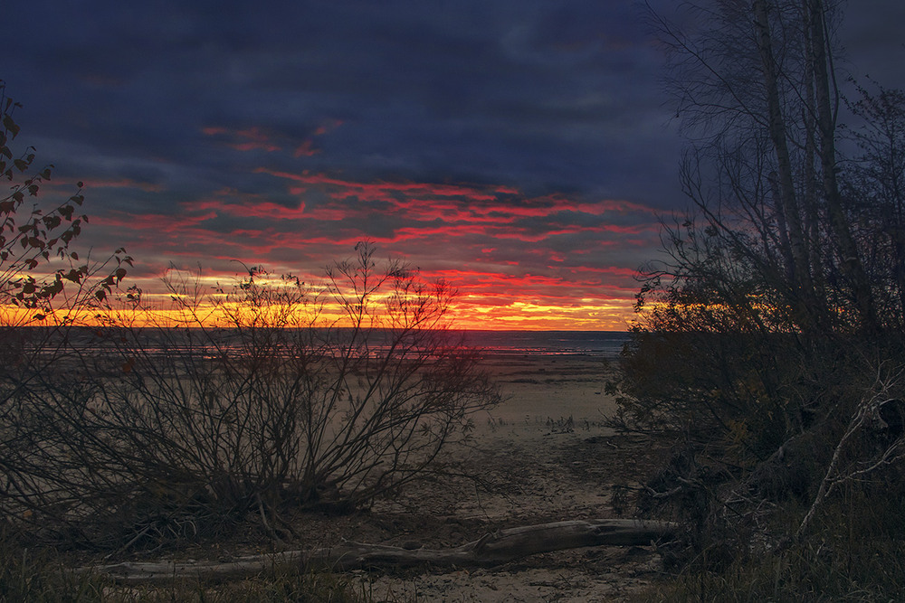 Фотографія Темна нічка річку вкрила. А ще - берег, кущі, очерет, пісок вкрила. / Юрій Максименко / photographers.ua