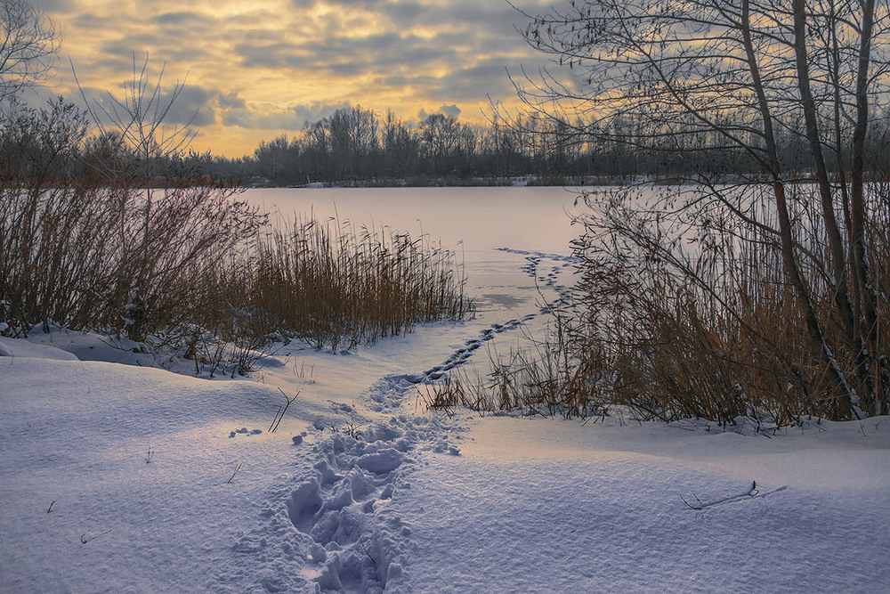 Фотографія Коли рибалки час настаЄ, люде чомусь радіють, а потім зітхають - кожен про щось своЄ. / Юрій Максименко / photographers.ua