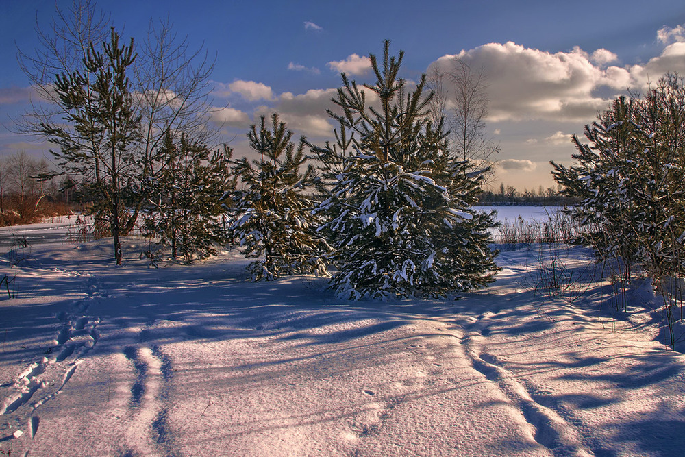 Фотографія Красуні на березі в сонячний день після свіжого снігу. / Юрій Максименко / photographers.ua
