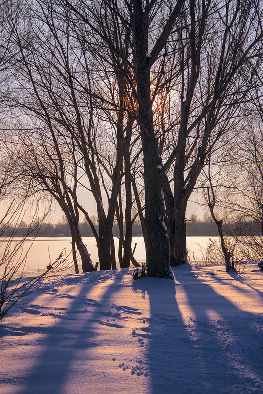 Фотографія Часто-густо багато снігу й світла буває рідко. / Юрій Максименко / photographers.ua
