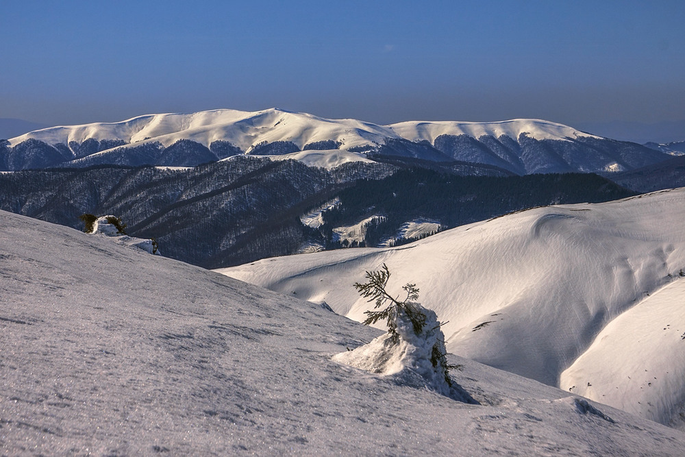 Фотографія Ти диви - які кольорові сніги ще трапляються. / Юрій Максименко / photographers.ua