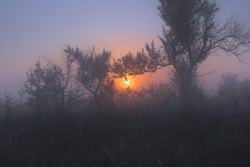 Фотографія Пейзаж / Юрій Максименко / photographers.ua