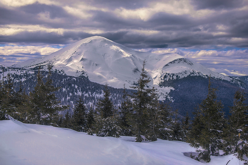 Фотографія Ялинки завмерли на морозі, а поміж білих снігів бродять цятки в темних згадках - світла з небес. / Юрій Максименко / photographers.ua