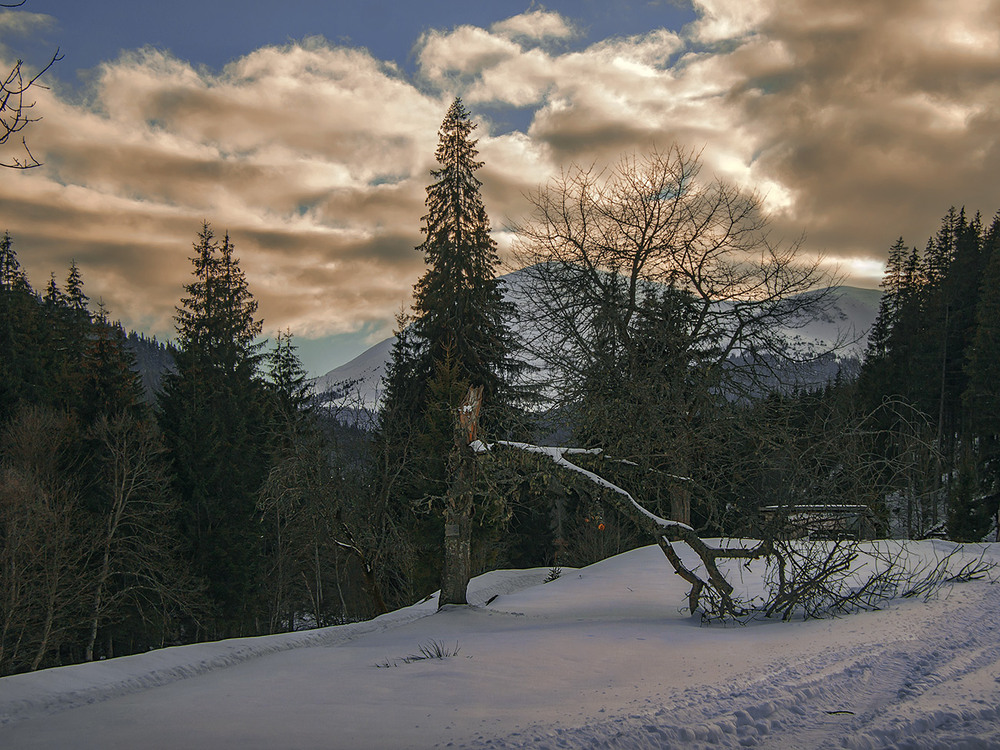 Фотографія Я піду в далекі гори на широкі полонини - о-о-о-о-он до тих яскравих хмарок обсмалених над Петросом / Юрій Максименко / photographers.ua