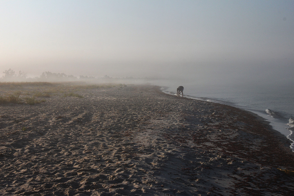 Фотографія Ранковий туман на морі розсіюється. Збирання креветок. / Юрій Максименко / photographers.ua