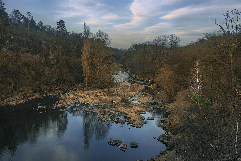 Фотографія Руді, голі й босі стоять ліси над Тетеревом проти ночі у березні. / Юрій Максименко / photographers.ua