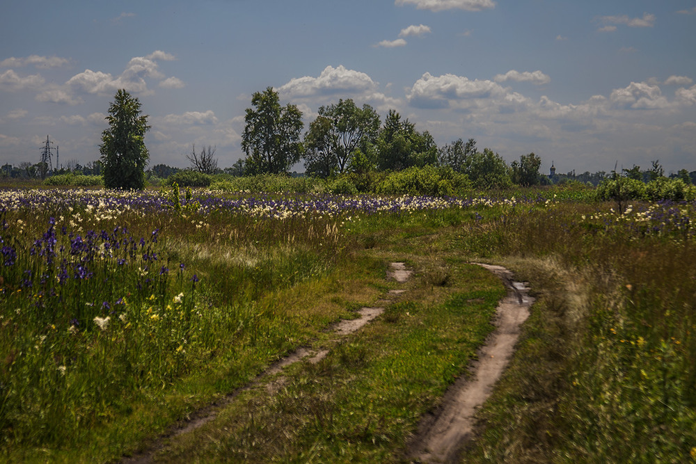 Фотографія Церква на околиці - о-о-о-н там. / Юрій Максименко / photographers.ua