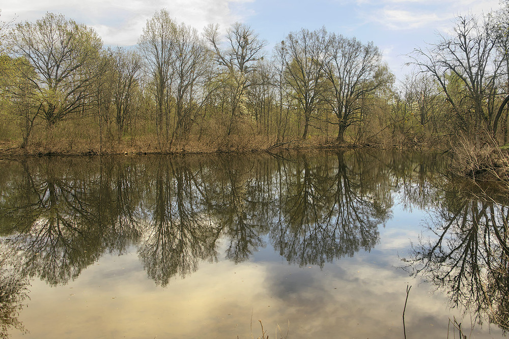 Фотографія Великдень на Жуковому острові: весна набубнявіла. / Юрій Максименко / photographers.ua