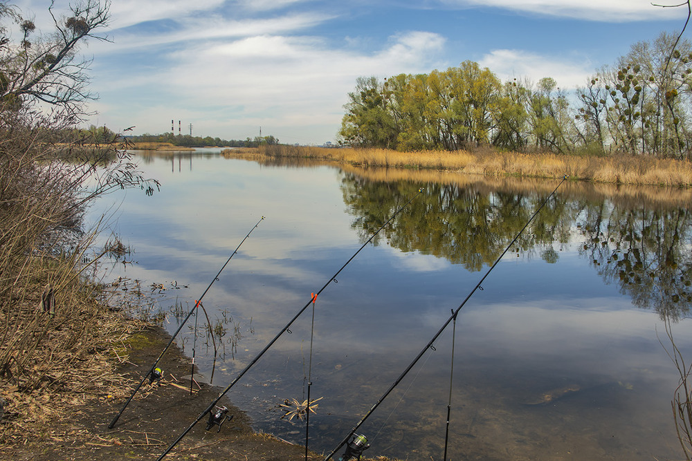 Фотографія Ловися, рибко, велика й маленька! / Юрій Максименко / photographers.ua