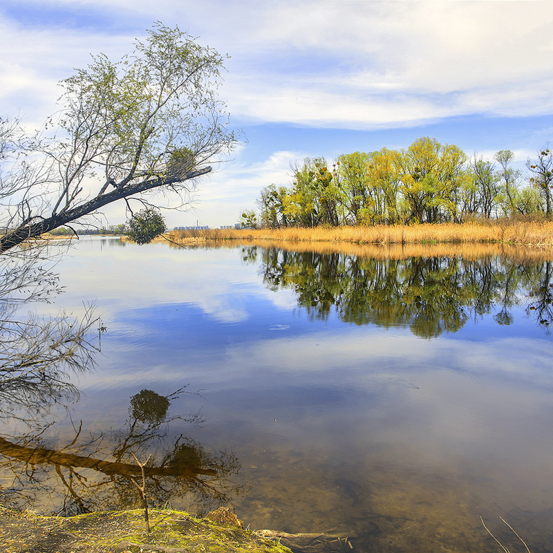Фотографія Великдень в Києві біля острова Олександрів стан. Вечір прозорий вже опускається на ніжне листячко. / Юрій Максименко / photographers.ua