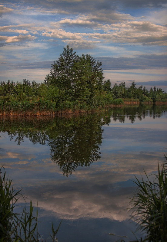 Фотографія Проти ночі  навпроти дерева  при воді - добре споглядати. / Юрій Максименко / photographers.ua